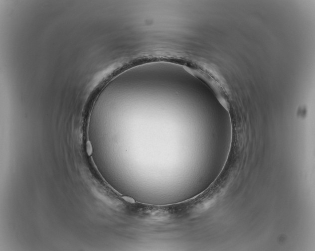 X0000092050395200709191125