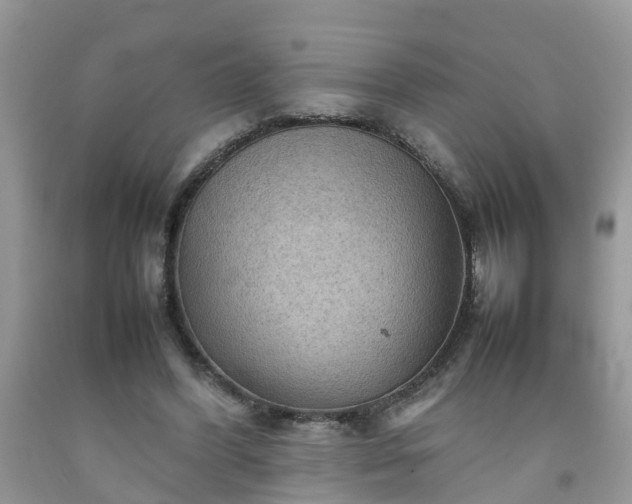 X0000092050396200709191125