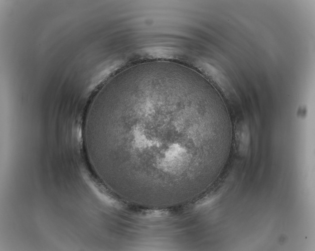 X0000092050398200709191125