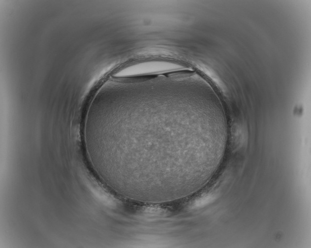 X0000092050399200709191125