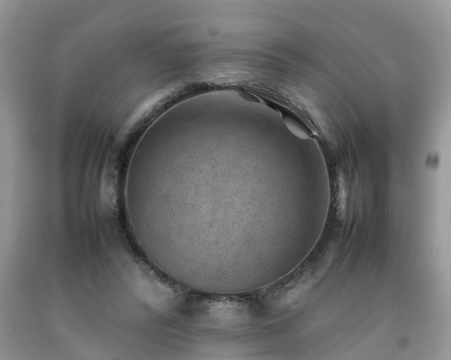 X0000092050400200709191125