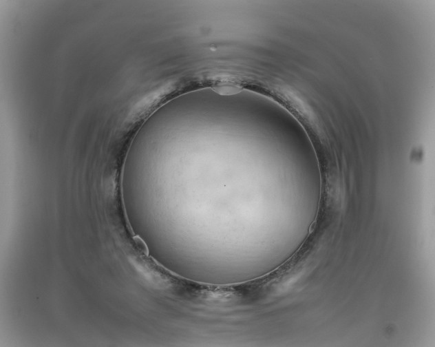 X0000092050401200709191125