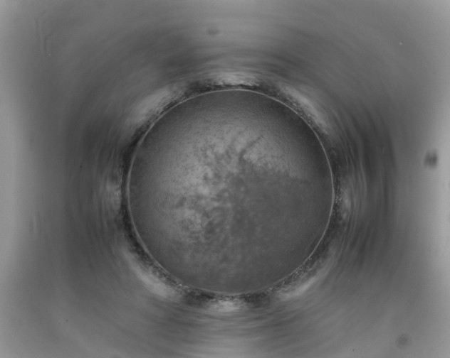 X0000092050402200709191125