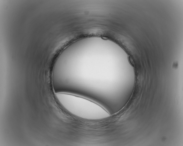 X0000092050403200709191125