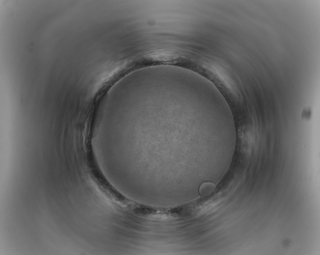 X0000092050404200709191125