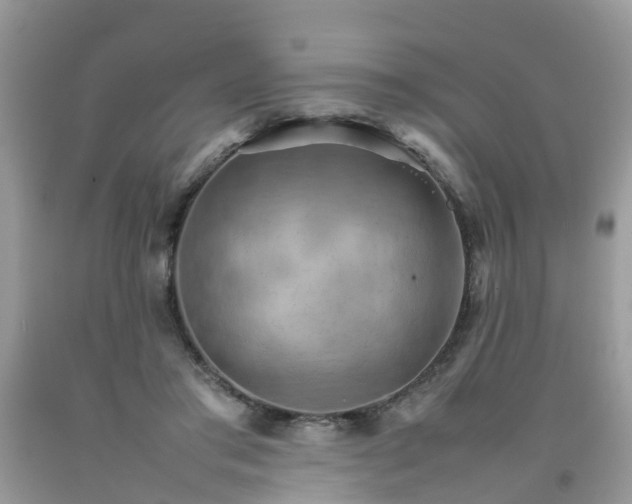 X0000092050405200709191125