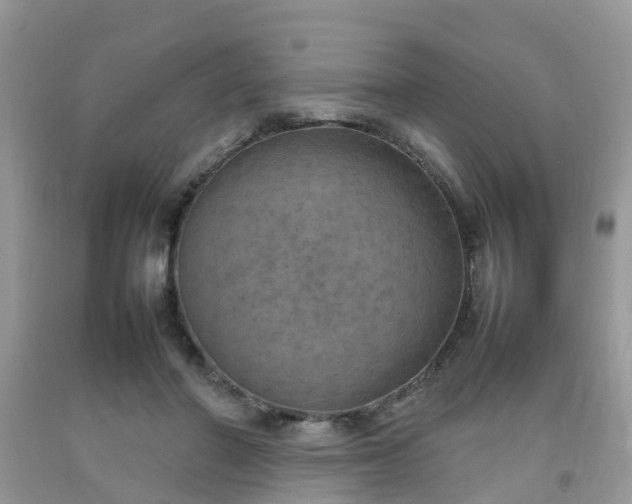 X0000092050406200709191125