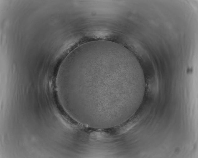 X0000092050408200709191125