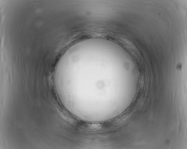 X0000092050409200709191125