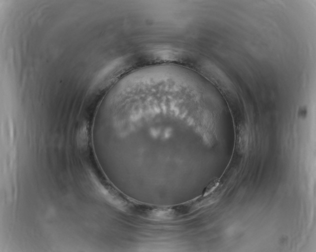 X0000092050410200709191125