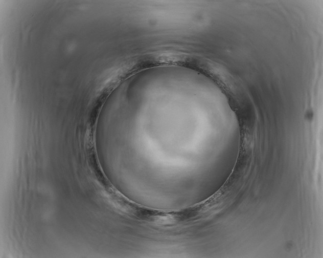 X0000092050411200709191125