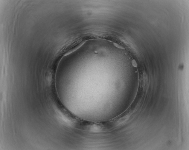 X0000092050412200709191125