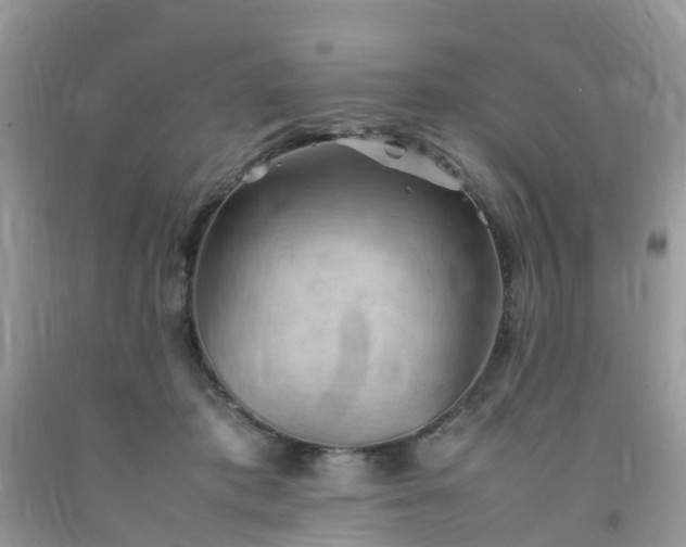 X0000092050413200709191125