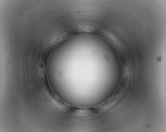 X0000092050414200709191125