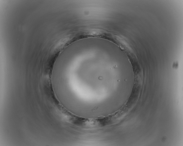 X0000092050415200709191125