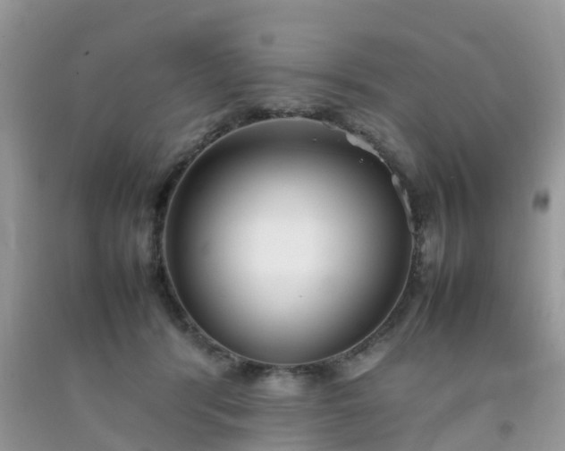 X0000092050416200709191125