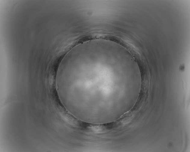 X0000092050417200709191125