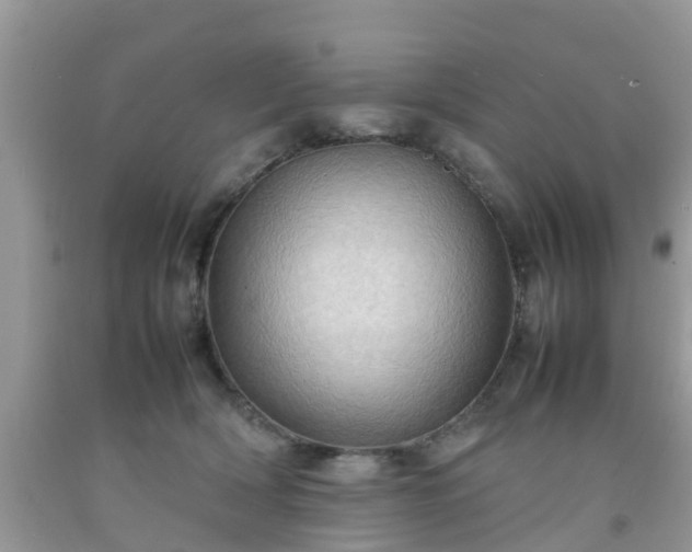 X0000092050418200709191125