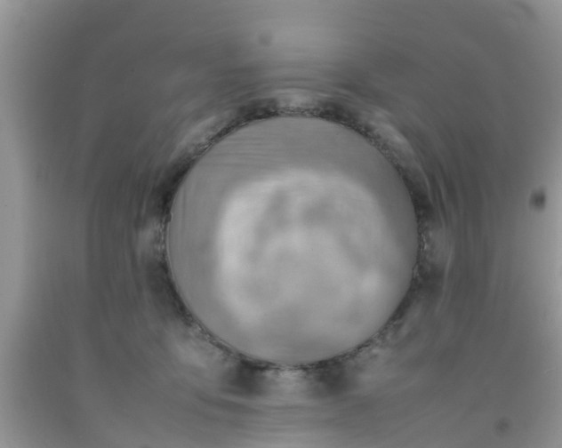 X0000092050419200709191125