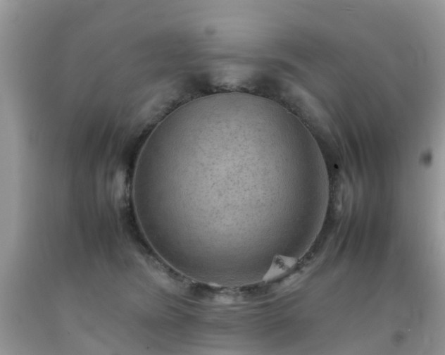 X0000092050420200709191125