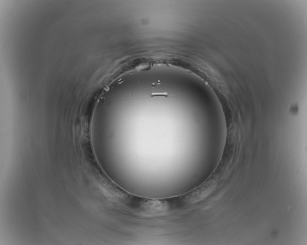 X0000092050421200709191125