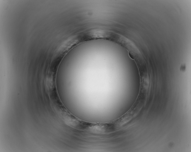 X0000092050422200709191125