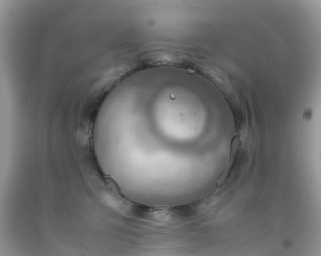 X0000092050423200709191125