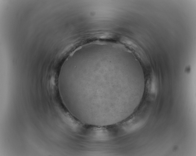 X0000092050424200709191125