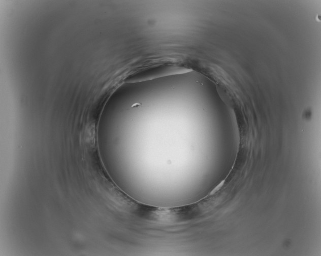 X0000092050425200709191125