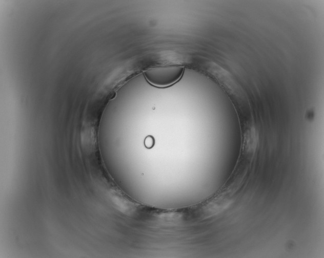 X0000092050426200709191125