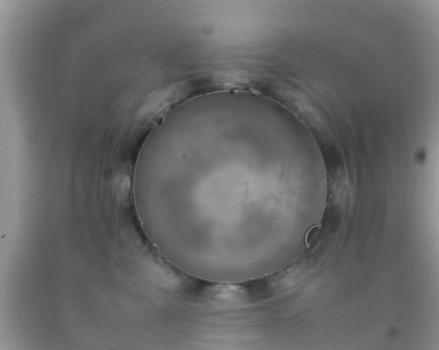 X0000092050427200709191125