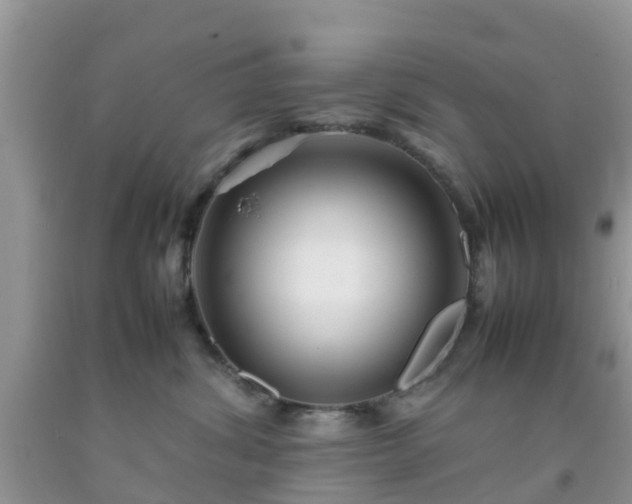 X0000092050428200709191125