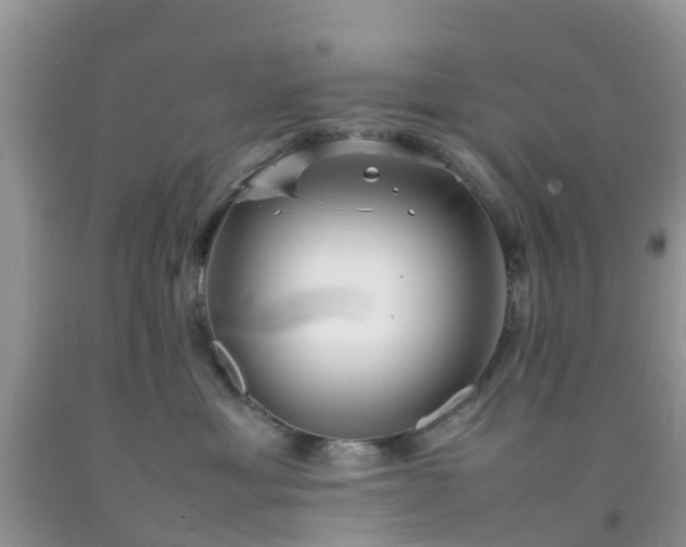 X0000092050429200709191125