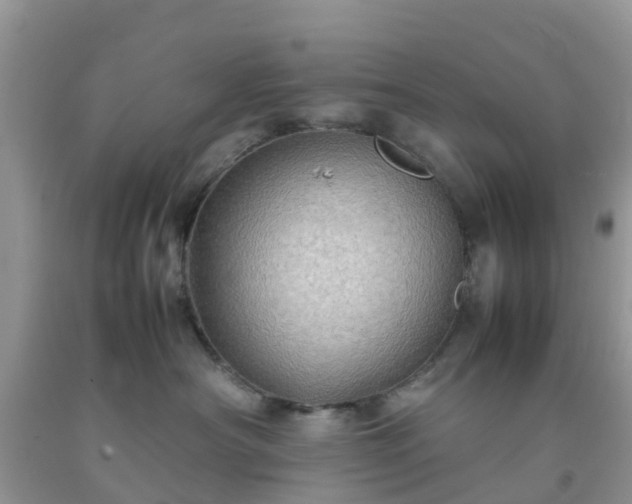 X0000092050430200709191125