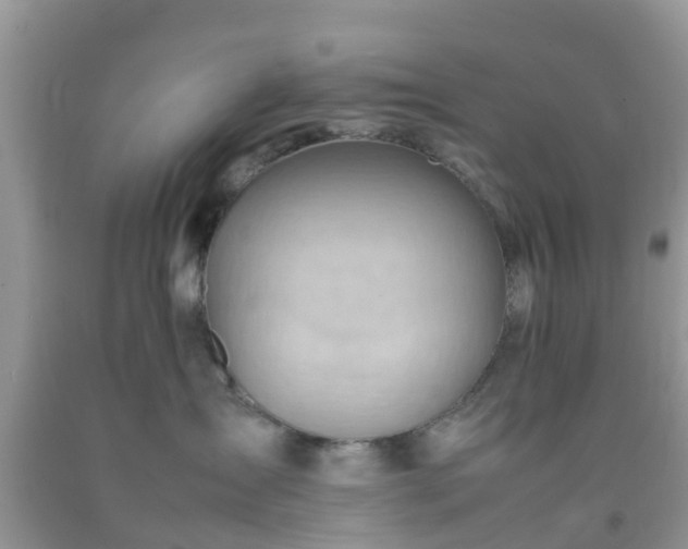 X0000092050431200709191124