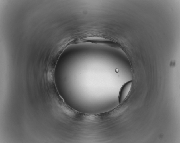 X0000092050432200709191124