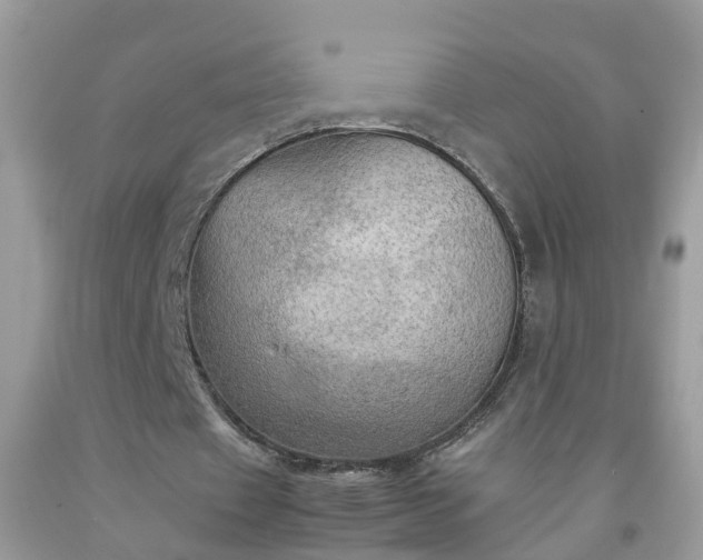 X0000092050433200709191124