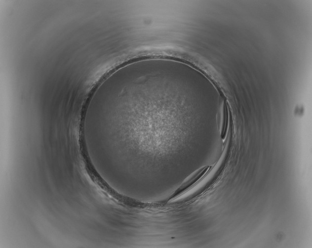 X0000092050434200709191124