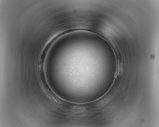 X0000092050435200709191124