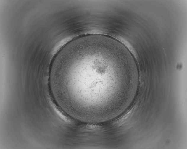 X0000092050437200709191124