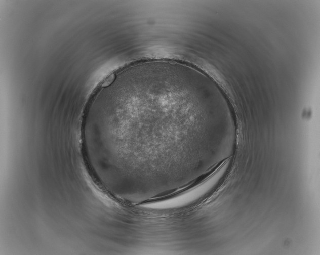 X0000092050438200709191124