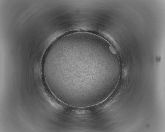 X0000092050439200709191124