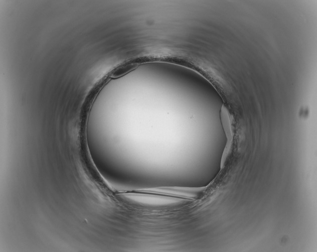 X0000092050440200709191124