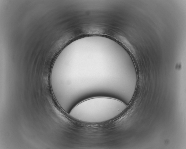 X0000092050441200709191124