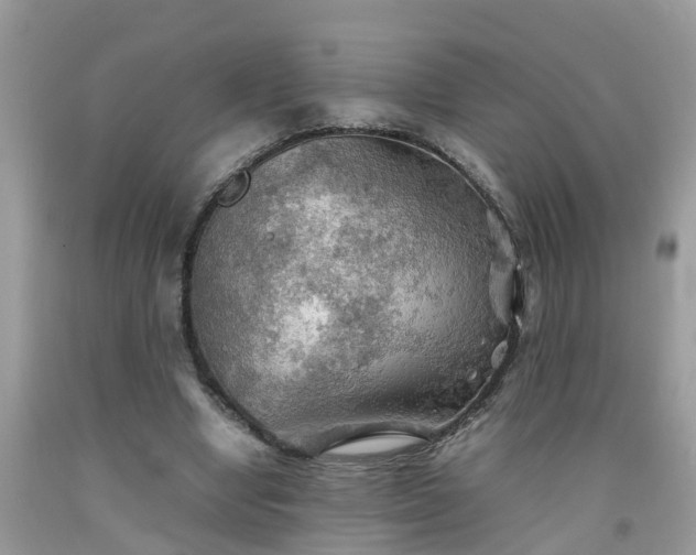 X0000092050442200709191124