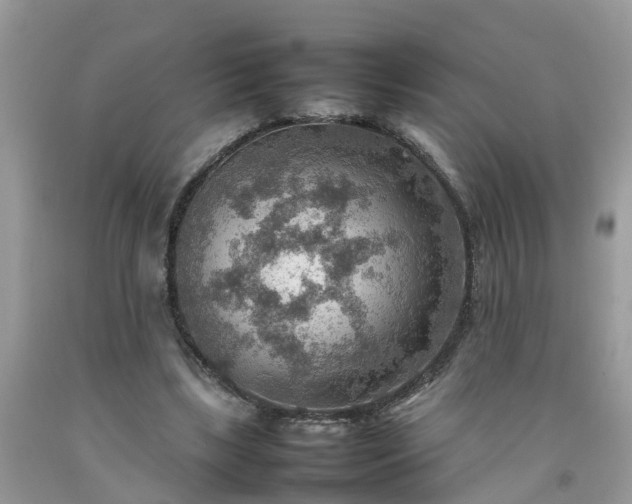 X0000092050443200709191124