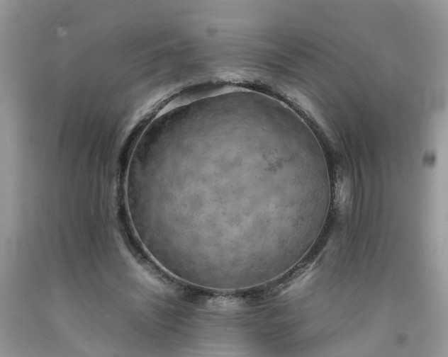 X0000092050444200709191124