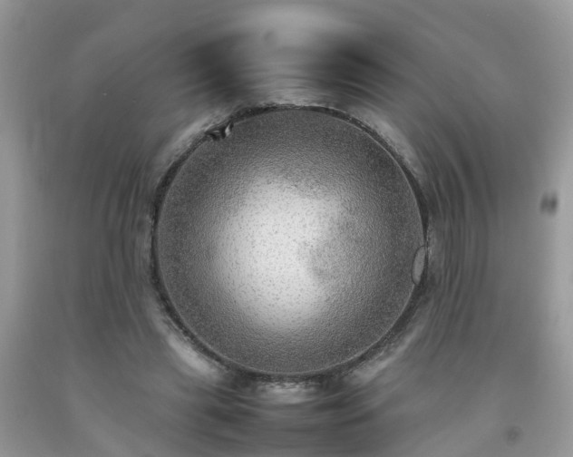 X0000092050445200709191124