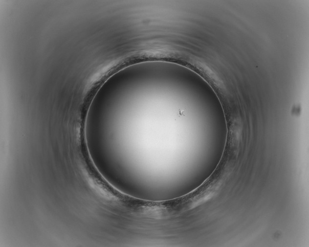 X0000092050446200709191124