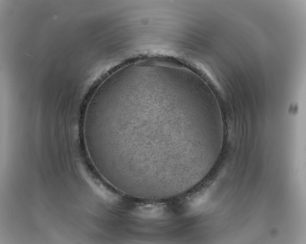 X0000092050447200709191124